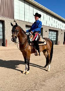 colt starting miles and tune ups! - Photo 2
