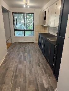 5.5 $1500.00 Metro Honore Beaugrand - Photo 3