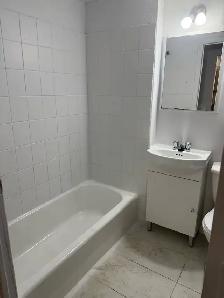 5.5 $1500.00 Metro Honore Beaugrand - Photo 4