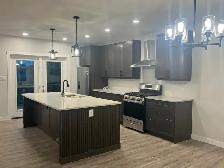5 BDRM 3 BATH FULLY RENOVATED BUNGALOW - COMING TO GIMLI MARKET - Photo 2