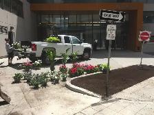 Landscape gardener lead hand - Photo 2