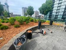 Landscape gardener lead hand - Photo 3
