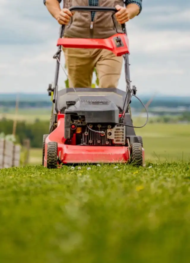 Landscaping / Grass Cutting Job