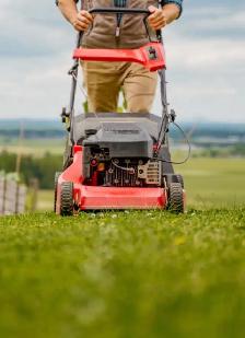 Landscaping / Grass Cutting Job