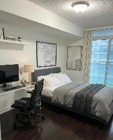 Furnished Private Room in 2 Bed 1 Bath - Balcony View w/ Parking - Photo 7