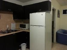 Room For Rent At Spadina/Dundas Single Female Only - Photo 3