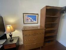 Room For Rent At Spadina/Dundas Single Female Only - Photo 7
