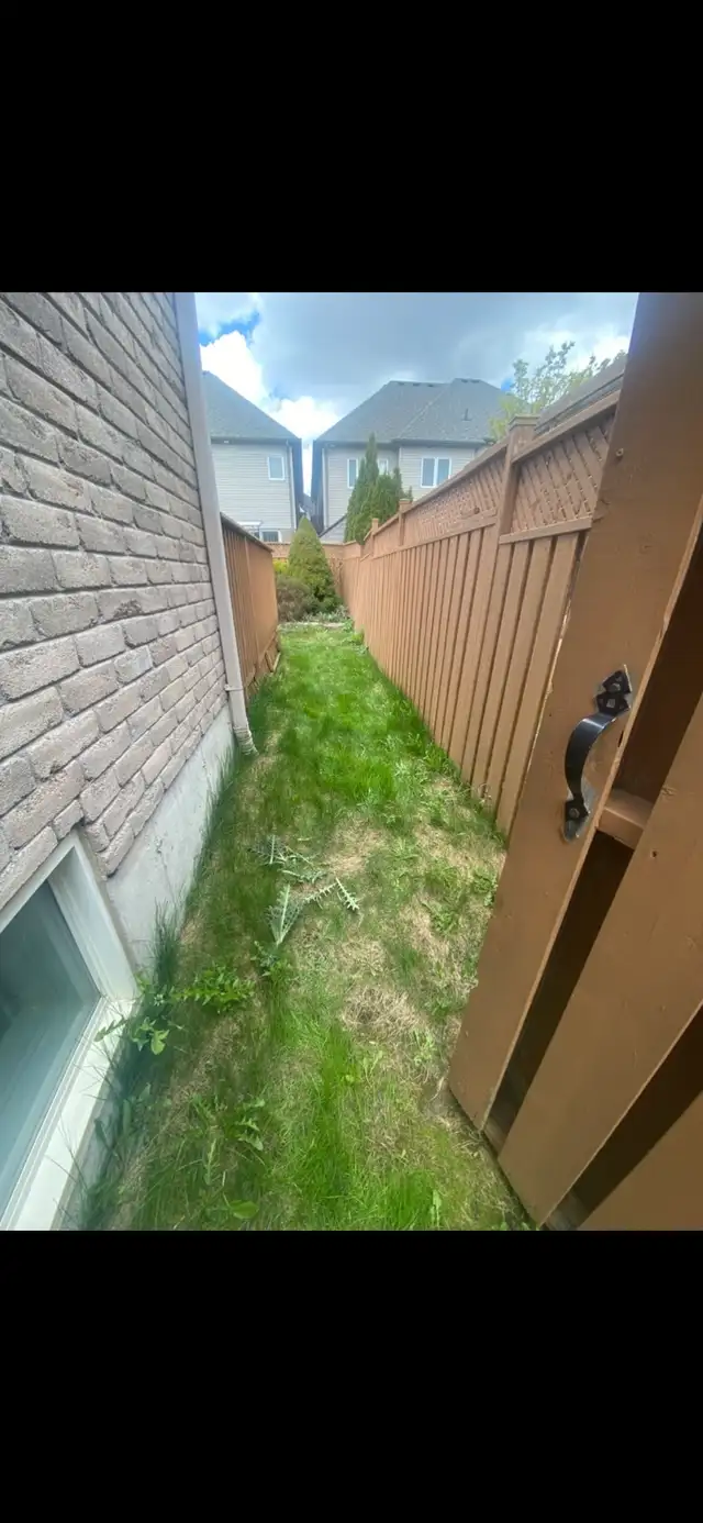 Yard Clean Ups