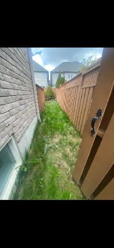 Yard Clean Ups