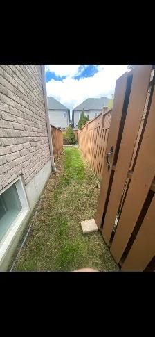 Yard Clean Ups - Photo 2