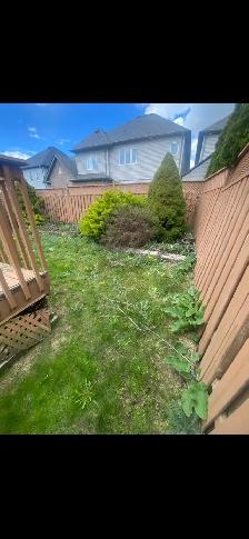 Yard Clean Ups - Photo 3