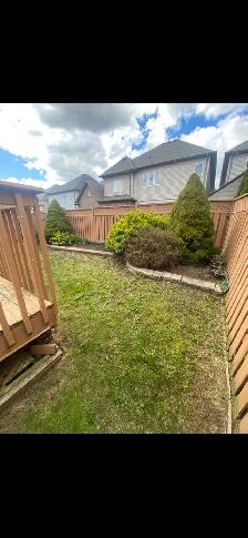 Yard Clean Ups - Photo 4