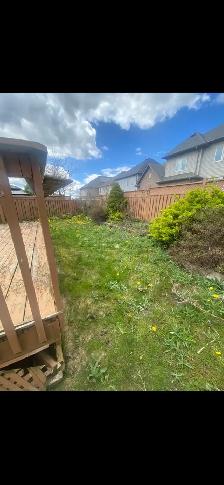 Yard Clean Ups - Photo 5