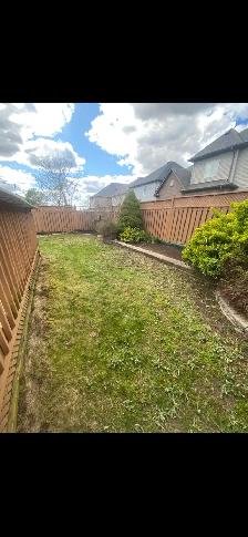 Yard Clean Ups - Photo 6