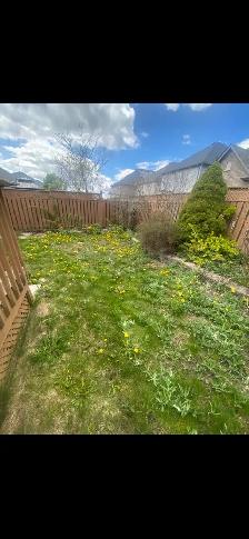 Yard Clean Ups - Photo 7