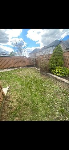 Yard Clean Ups - Photo 8