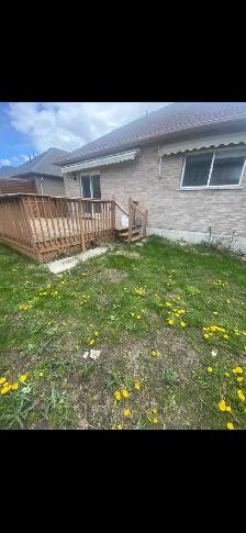 Yard Clean Ups - Photo 9