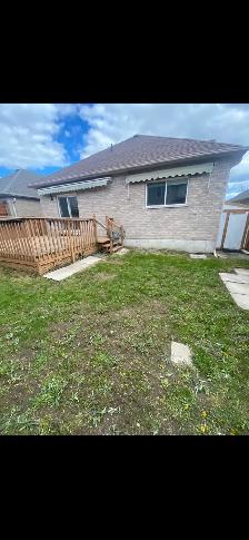 Yard Clean Ups - Photo 10