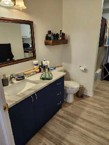 Appartement 3 ½ à louer au Plateau (Hull) - Photo 2