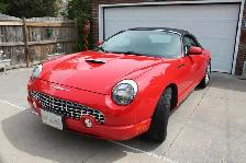 2003 Thunderbird Red in Colour