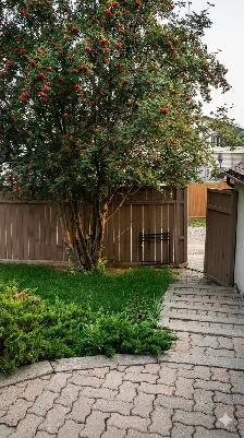 3 Beds, 1 Bath, Basement Suite, Shawnessy SW, $1,550, 1 yr - Photo 10