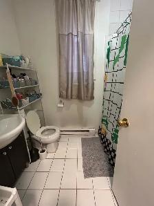 Verdun - for rent - Photo 7