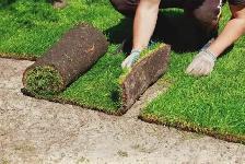 Sodding sod installation