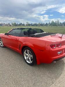 2011 CHEVROLET CAMARO CONVERTIBLE - LOW LOW KMS - ONLY 38,700 KM - Photo 6