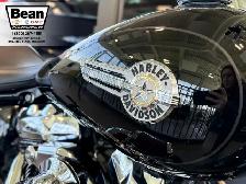 2022 Harley-Davidson Fatboy 131 Screaming Eagle - Photo 6
