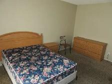 Room for rent with washroom - Photo 3