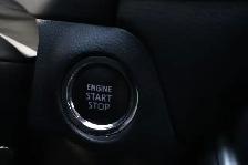 2025 Toyota RAV4 - Photo 12