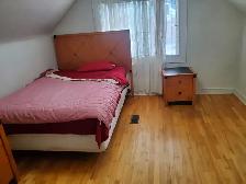 Beautiful Rooms for Rent close to algonquin, Ottawa U, Downtown - Photo 3
