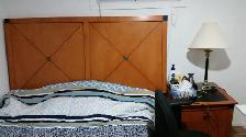 Beautiful Rooms for Rent close to algonquin, Ottawa U, Downtown - Photo 4