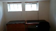 Beautiful Rooms for Rent close to algonquin, Ottawa U, Downtown - Photo 7