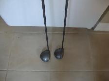 Callaway Woods - Photo 2