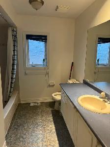 Room for rent - Photo 4