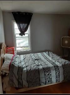 2 bed and 1 bath in Souris - Photo 4