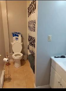 2 bed and 1 bath in Souris - Photo 5