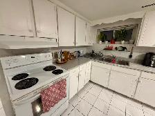 The best 3 bedroom in Wilson Ave/ Weston Road - Photo 3