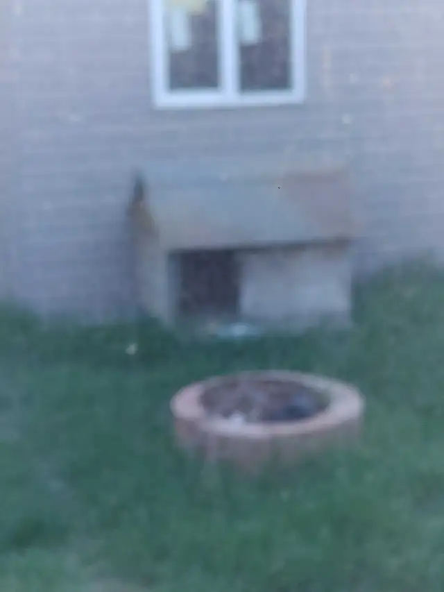 Large dog house and fire pit