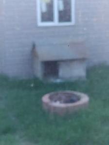 Large dog house and fire pit