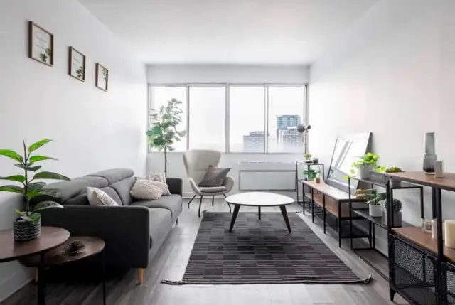 Spacious 3½ (1 Bed   1 Bath) in Downtown Montreal