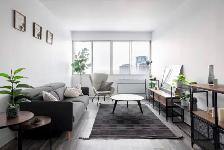 Spacious 3½ (1 Bed   1 Bath) in Downtown Montreal
