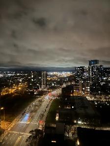 Spacious 3½ (1 Bed   1 Bath) in Downtown Montreal - Photo 9