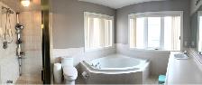 Master Bdrm Suite For Rent, Richmond Hill, Close to Seneca King - Photo 3
