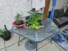 Patio table with umbrella and 6 chairs - Photo 2