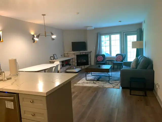 1 Bedroom Furnished Luxurious Apartment - Utilities Included