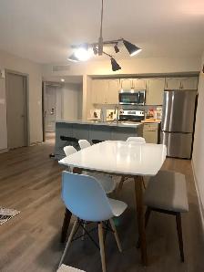 1 Bedroom Furnished Luxurious Apartment - Utilities Included - Photo 2