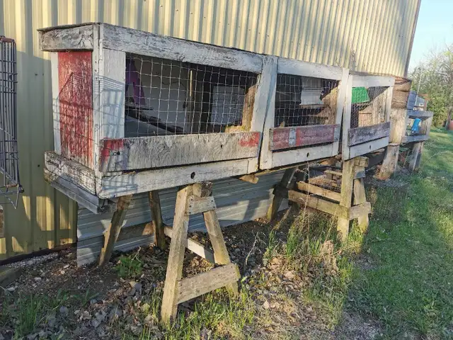 FREE    Cages all sizes FREE