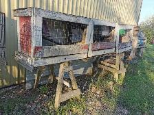 FREE    Cages all sizes FREE